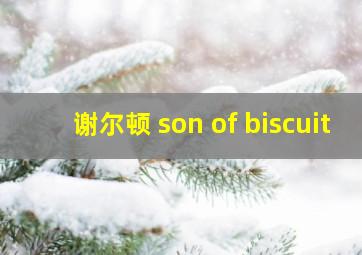 谢尔顿 son of biscuit